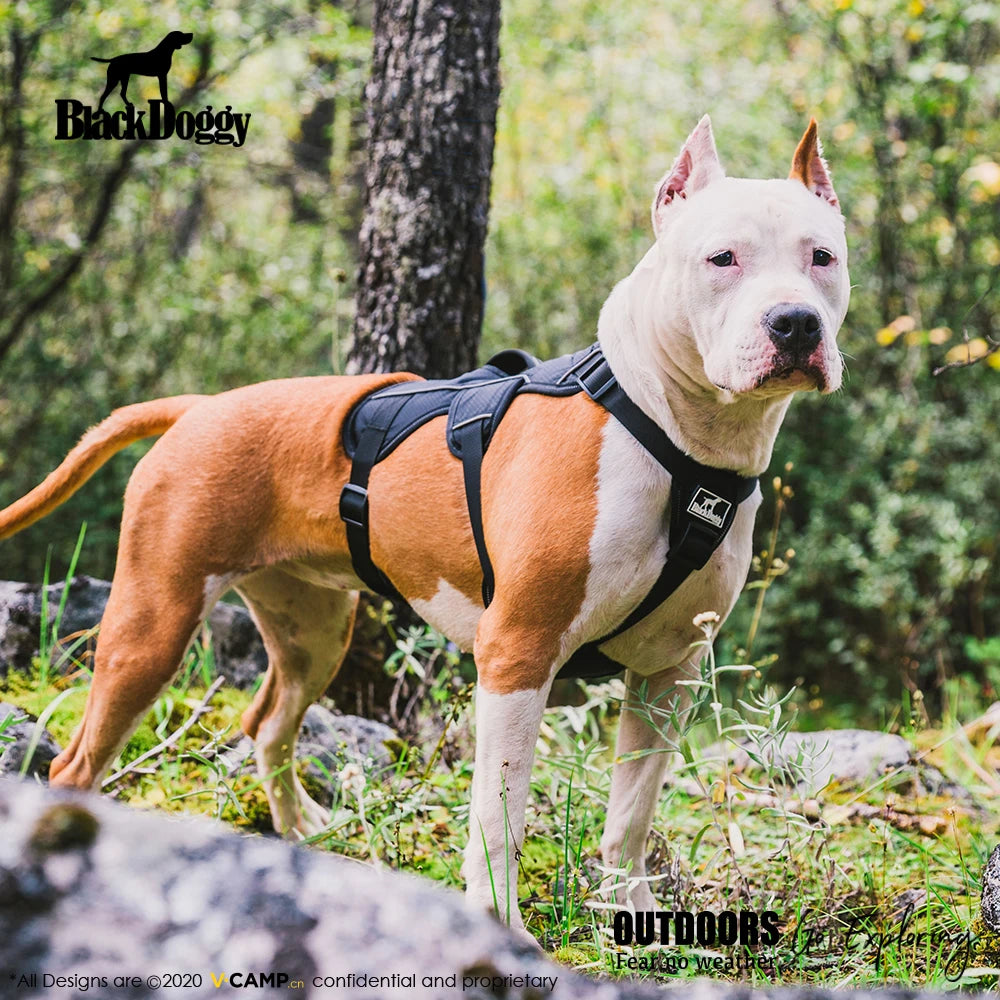 Professional Dog Harness Adjustable Pet Body Harness Vest Visible at Night Outdoor Training Harnesses Premium Quality Chest Stra