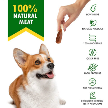 Dog Calcium Bones Wrapped Chicken Rawhide Free Chew Treats Pet Healthy Dried Snacks Grain Free Organic Meat Chews for Training