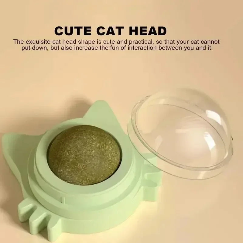 Catnip Balls Funny Lickable Dental Chew Toys for Kittens Interactive Teeth Cleaning Small Medium Cats Multi Color Pet Supplies