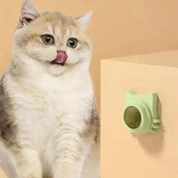 Catnip Balls Funny Lickable Dental Chew Toys for Kittens Interactive Teeth Cleaning Small Medium Cats Multi Color Pet Supplies